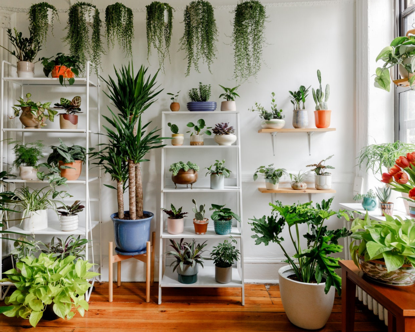 Benefits of Indoor Planters
